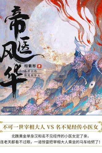 帝医风华