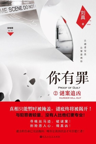 你有罪2：谜案追凶