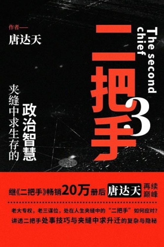 二把手3
