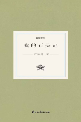 我的石头记