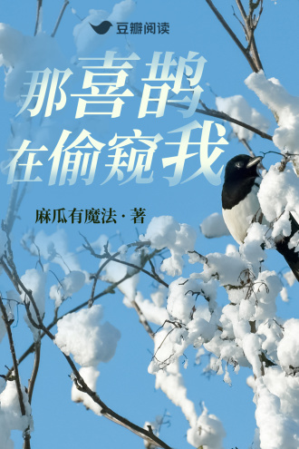 那喜鹊在偷窥我
