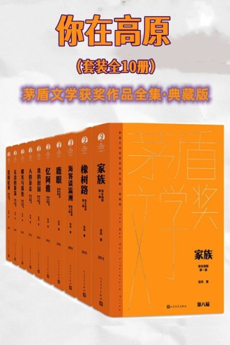 你在高原(套装全10册)