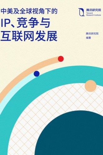 中美及全球视角下的IP、竞争与互联网发展