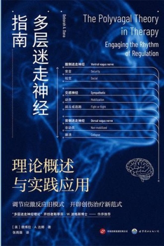 多层迷走神经指南：理论概述与实践应用