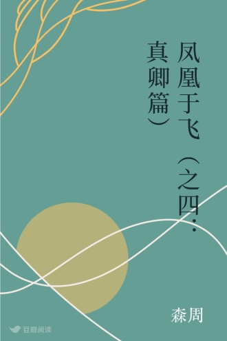 凤凰于飞（之四：真卿篇）