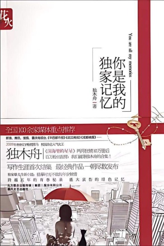 你是我的独家记忆