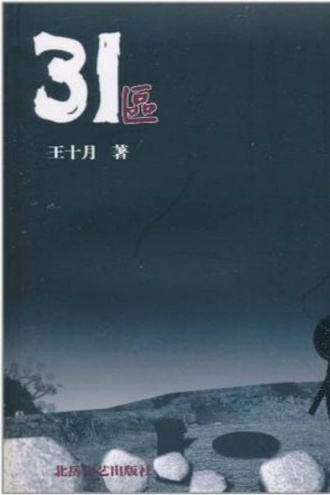 31区