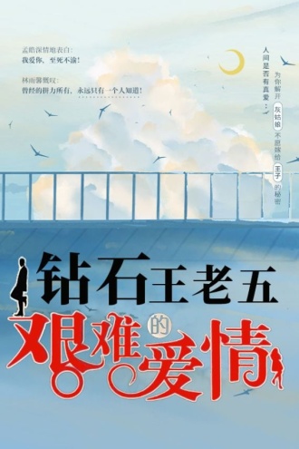 钻石王老五的艰难爱情