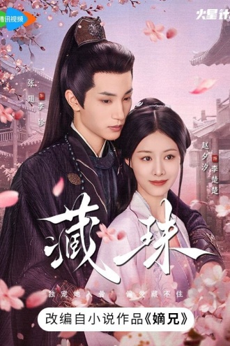 嫡兄（赵夕汐、张翅主演影视《藏珠》原著）