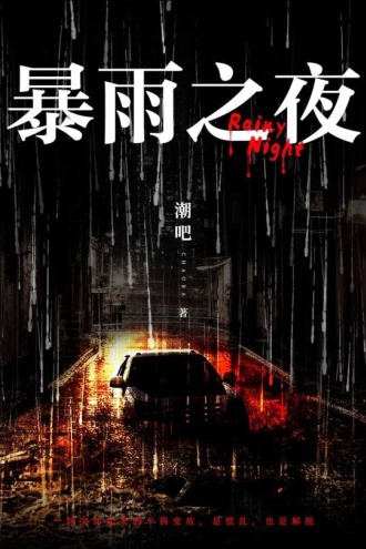 暴雨之夜