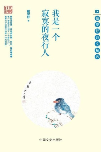 我是一个寂寞的夜行人