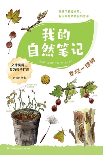 我的自然笔记：发现一棵树