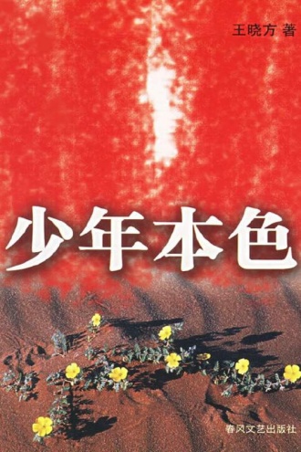 少年本色