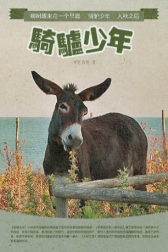 骑驴少年