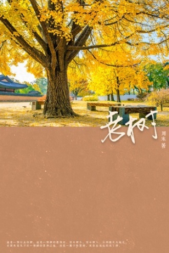 老树