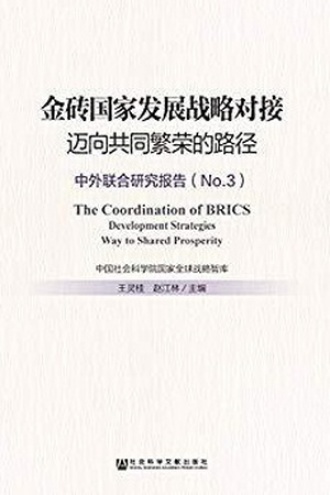 金砖国家发展战略对接：迈向共同繁荣的路径