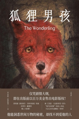 狐狸男孩书籍封面