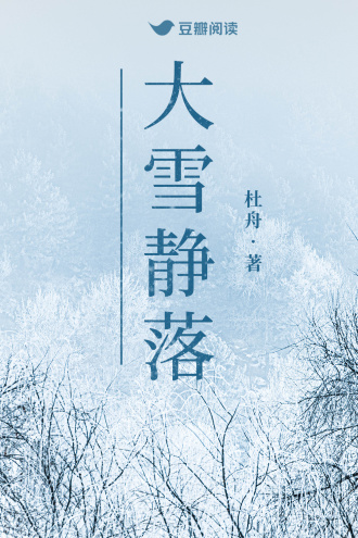 大雪静落