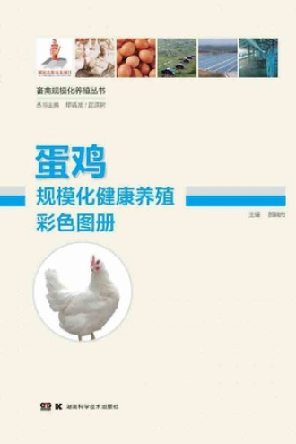 蛋鸡规模化健康养殖彩色图册
