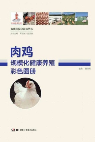 肉鸡规模化健康养殖彩色图册
