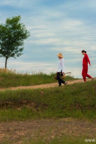 红叶年年映彩霞