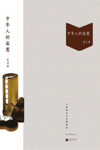 中年人的寂寞书籍封面