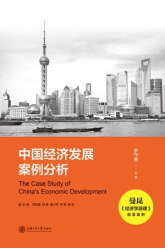 中国经济发展案例分析