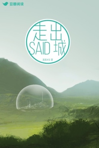 走出Said城