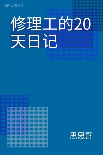修理工的20天日记