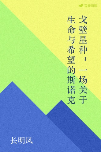 戈壁星种：一场关于生命与希望的斯诺克