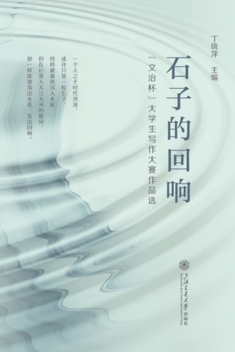 石子的回响