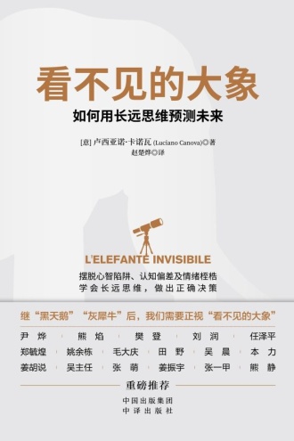 看不见的大象