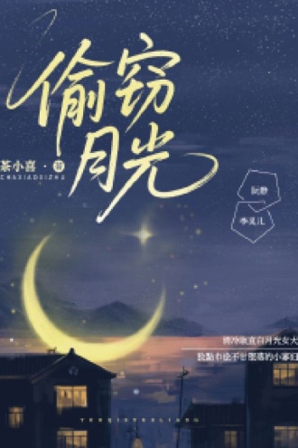 偷窃月光