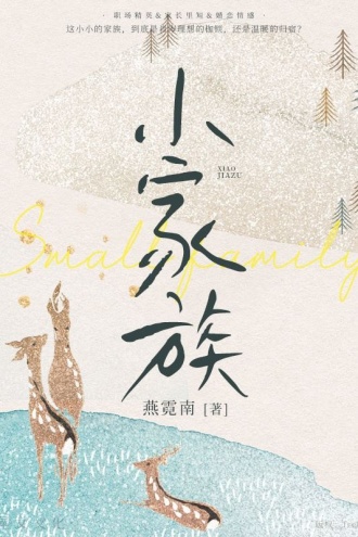 小家族：完美继承人