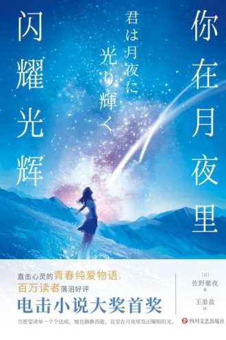 你在月夜里闪耀光辉