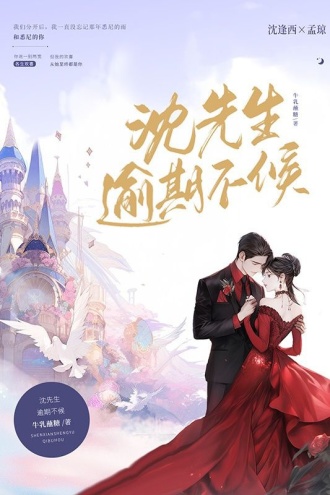 沈先生,逾期不候