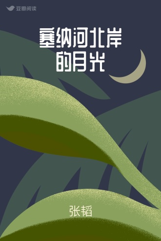 塞纳河北岸的月光