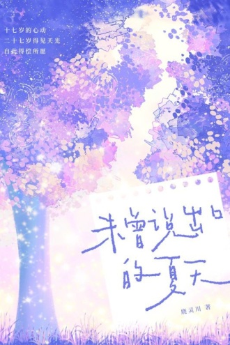 未曾说出口的夏天