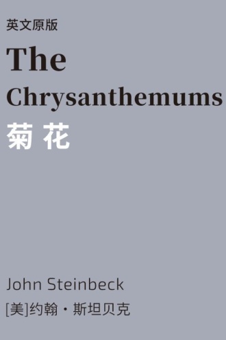 菊花（英文版）