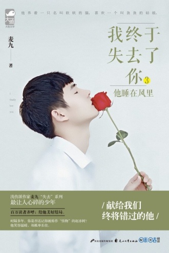 我终于失去了你3