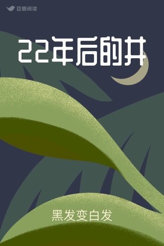 22年后的井