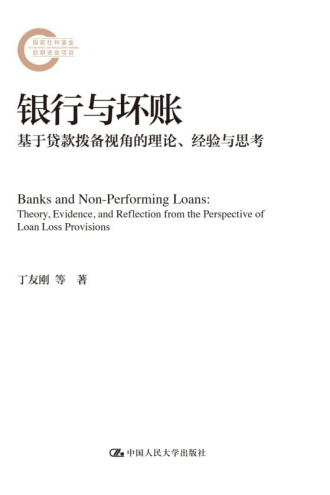 银行与坏账：基于贷款拨备视角的理论、经验与思考
