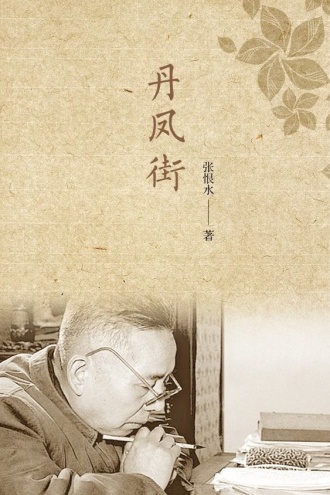 丹凤街