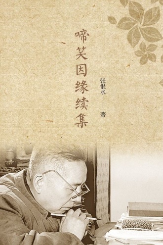 啼笑因缘续集