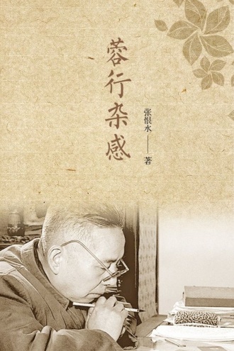 蓉行杂感