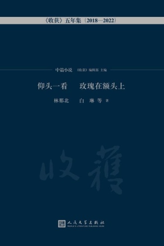 仰头一看 玫瑰在额头上·中篇小说卷