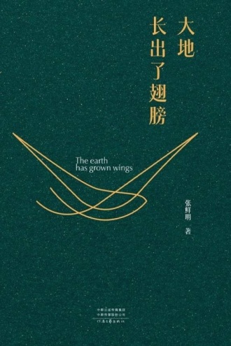 大地长出了翅膀