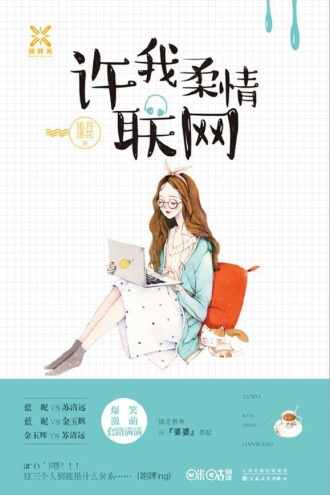 许我柔情联网