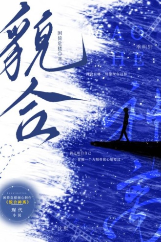 貌合神离
