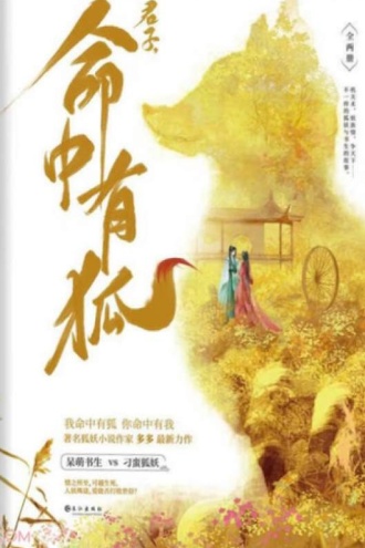 君子，命中有狐